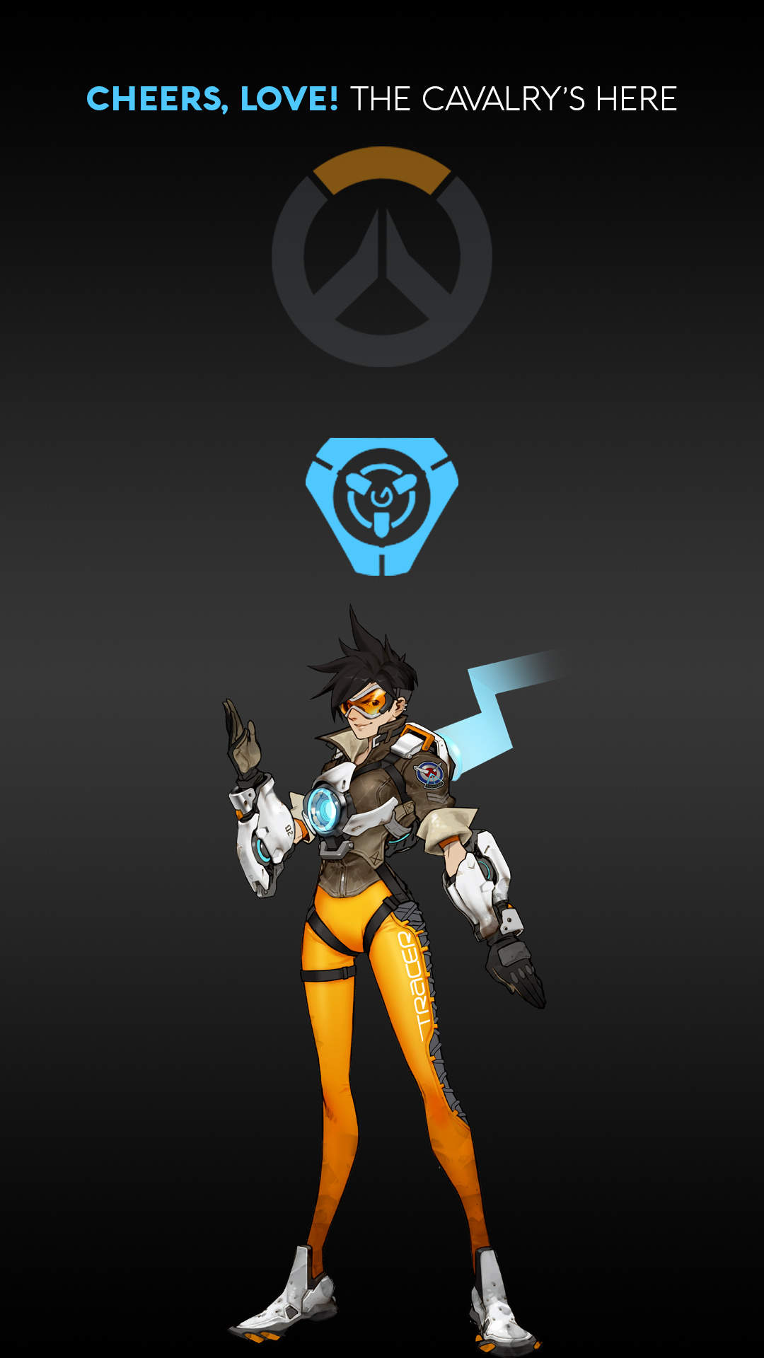 四川丰谷酒 四川丰谷酒