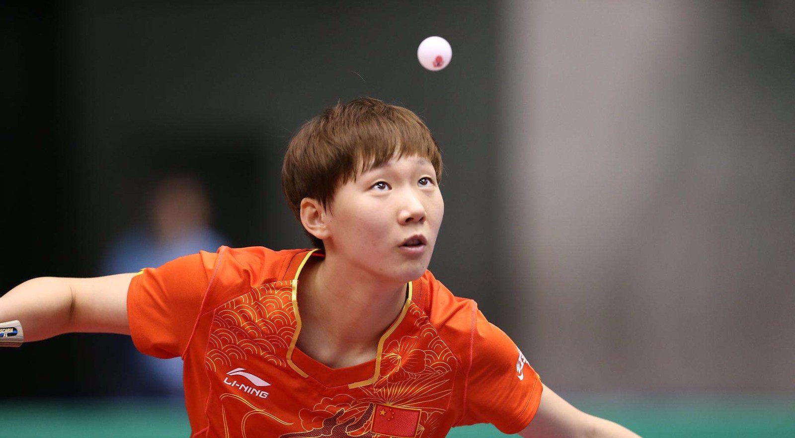 维斯塔潘 维斯塔潘