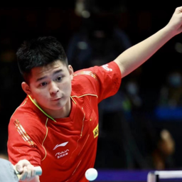 意大利的主 意大利的主